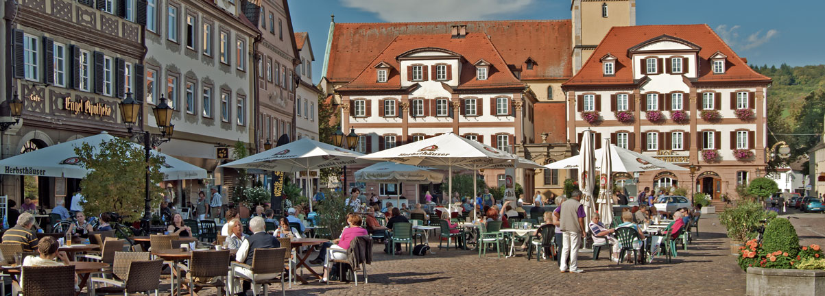 Haus bauen in Bad Mergentheim mit Massive Wohnbau